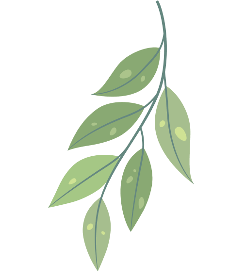 Green leaf graphic symbolizing RegenCrops’ regenerative agriculture and sustainable farming initiatives.