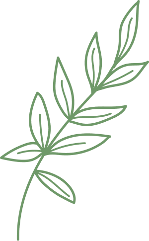 Green leaf graphic symbolizing RegenCrops’ regenerative agriculture and sustainable farming efforts.