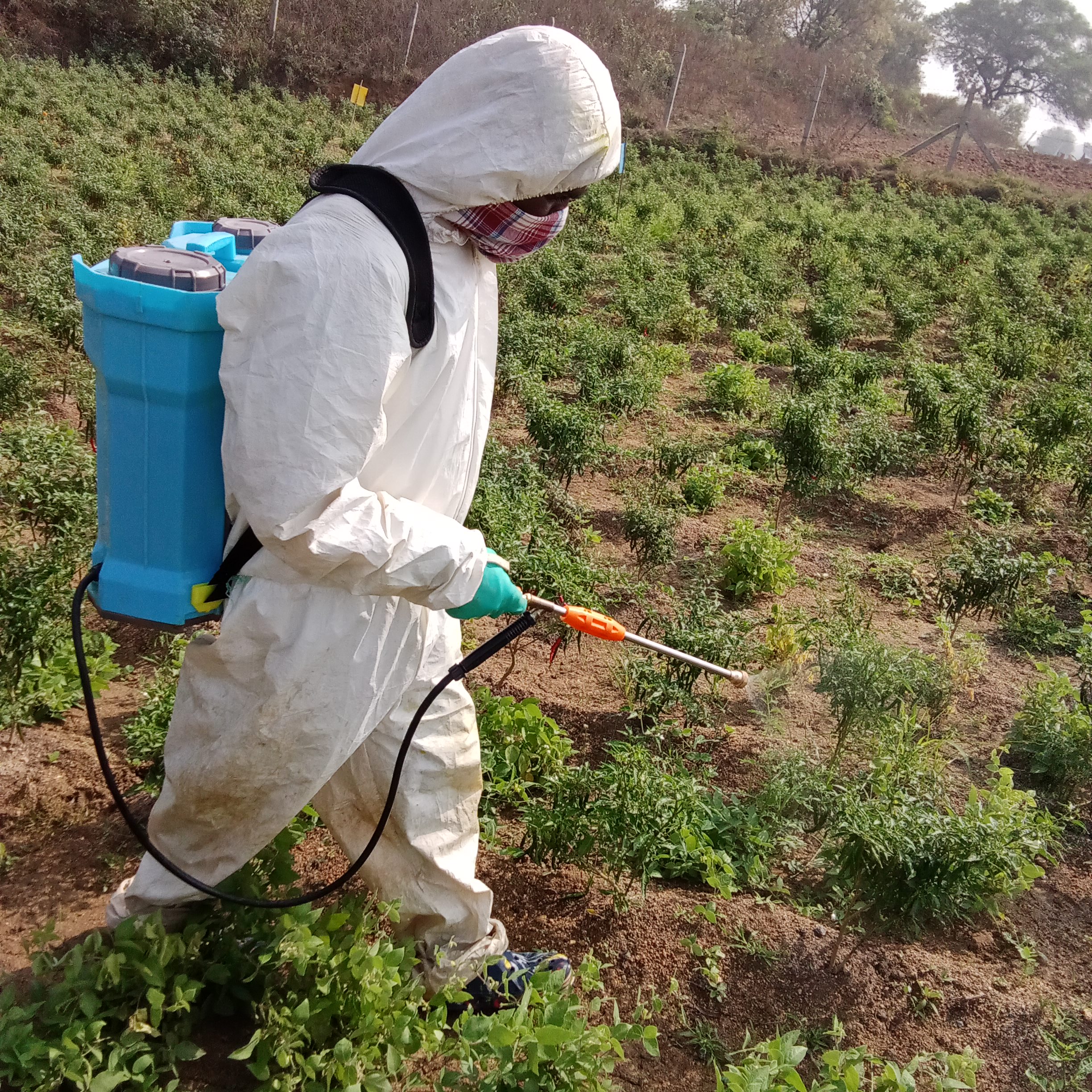 A photo of a farmer in protective gear spraying a field with minimal green chemistry usage, supported by the AI farming app to promote sustainable and eco-friendly agricultural practices.