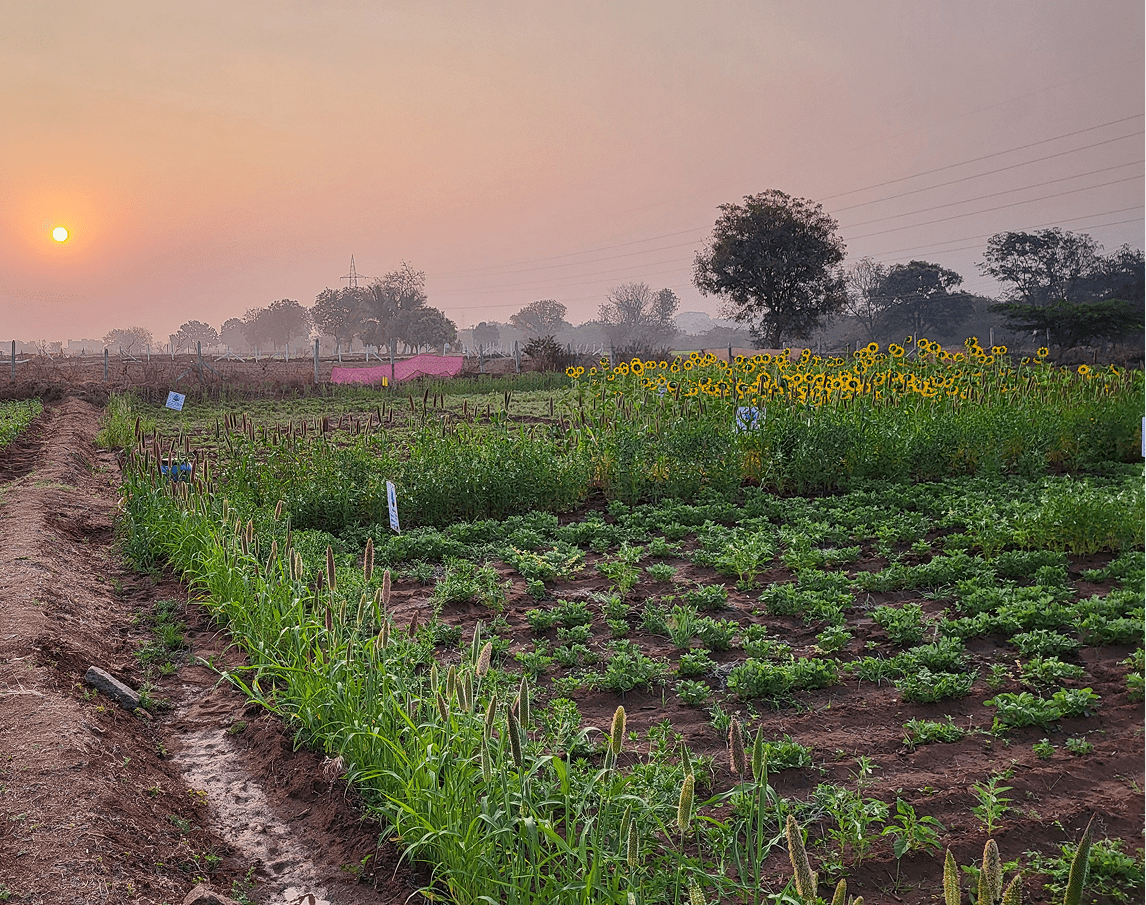 AI-powered regenerative agriculture